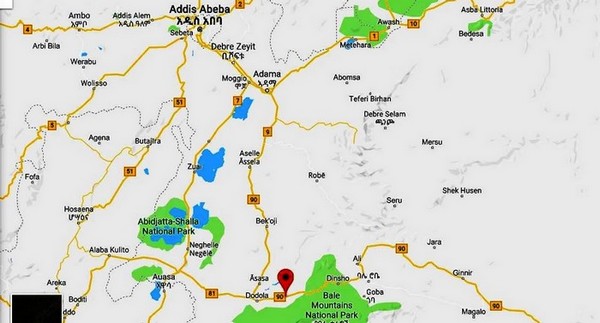 Vado a scuola anche io!-SFC Italia Onlus