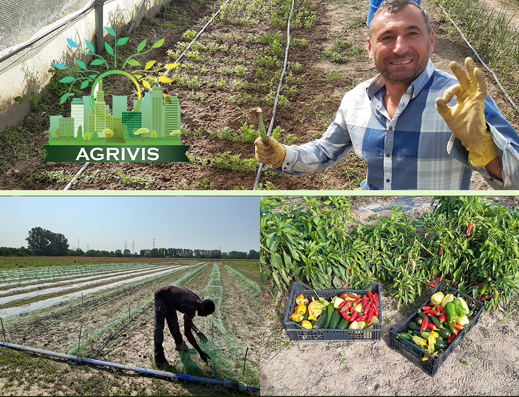 In memoria di Enrico Pavesi di L'Impronta Associazione ONLUS In memoria di Enrico Pavesi -L'Impronta Associazione ONLUS