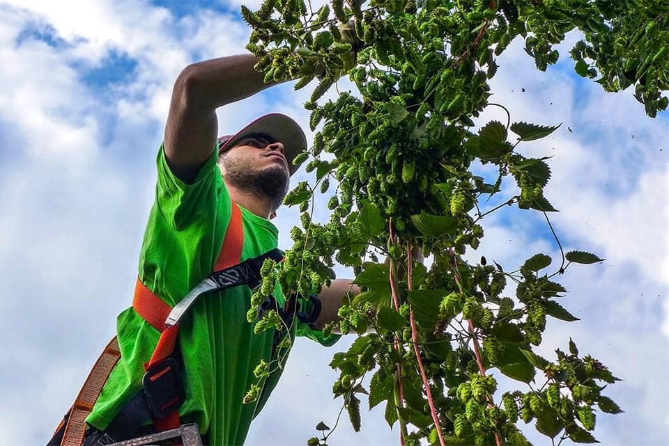 Dalla terra alla dispensa-Cooperativa Madre Terra