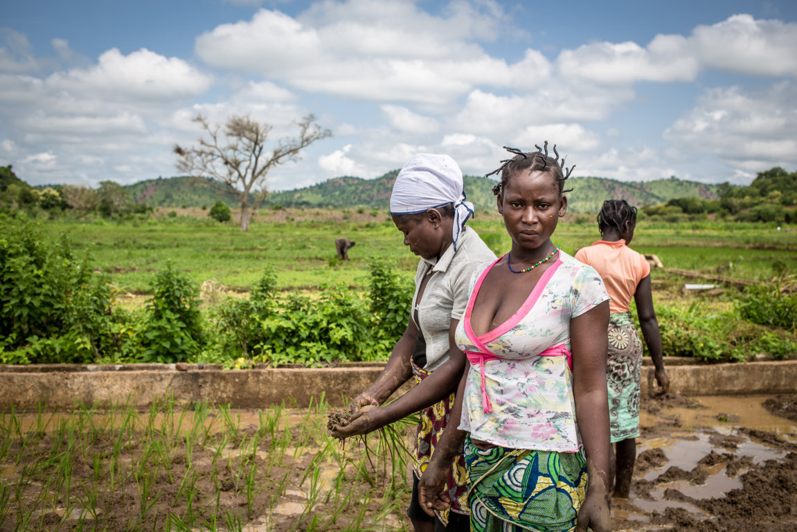 SOTTO SFORZO AUMENTA IL VOLUME DEL CUORE-CISV