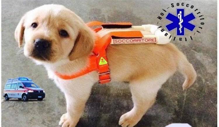 di Ambulanza Vigezzo -Ambulanza Vigezzo