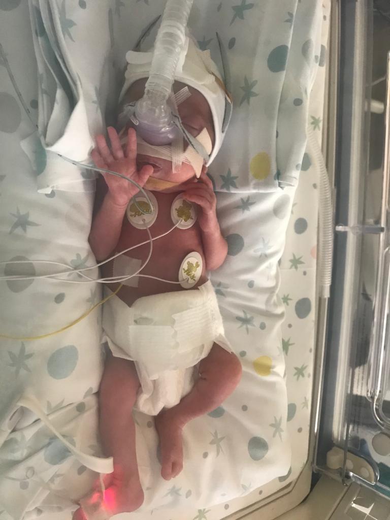 "HOME VISITING" di "PRIMA DEL TEMPO O.D.V." "HOME VISITING" -"PRIMA DEL TEMPO O.D.V."