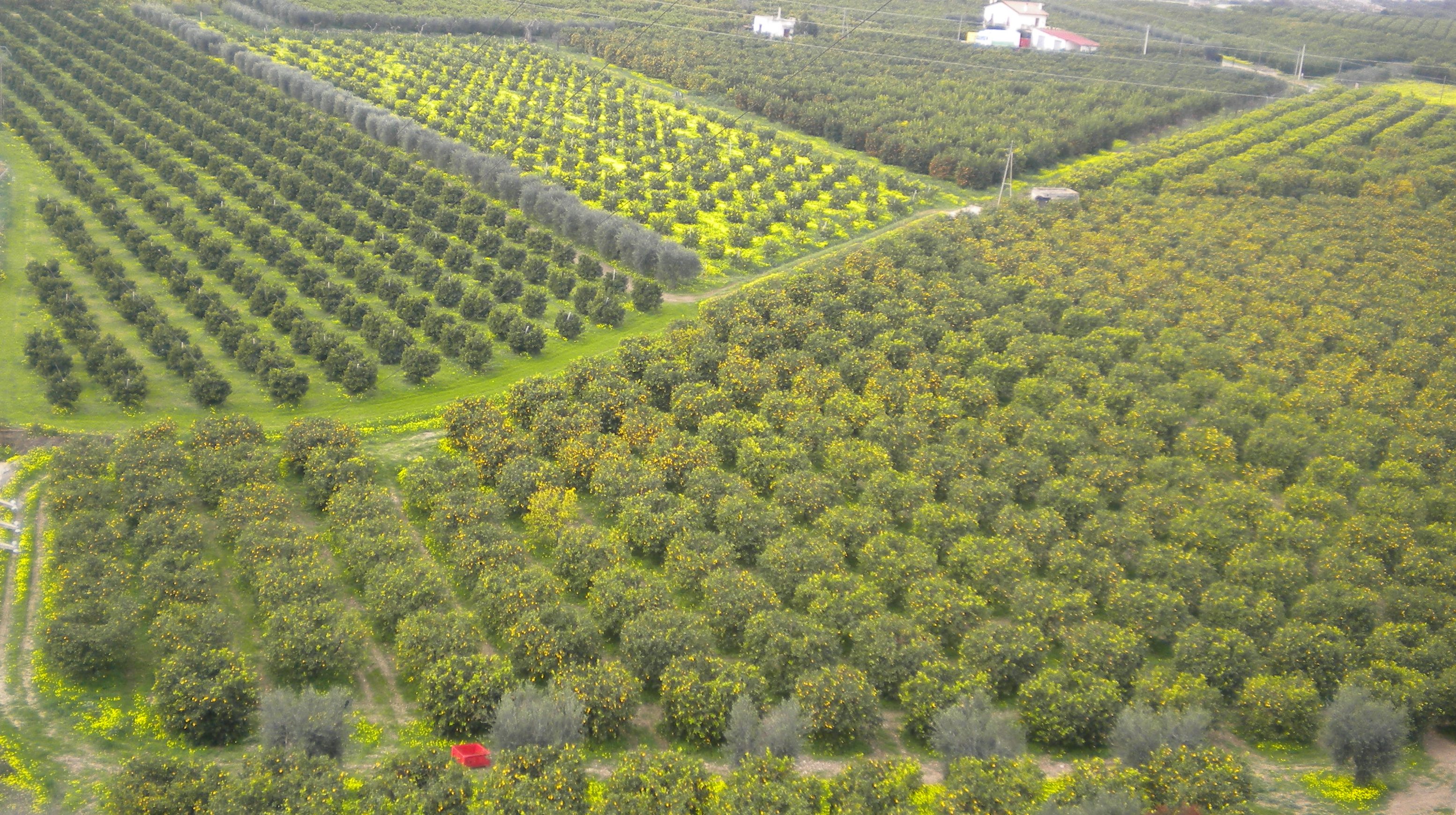 Sibari Pollino Luoghi Ideali in Calabria di Luoghi Ideali Sibari Pollino Luoghi Ideali in Calabria-Luoghi Ideali
