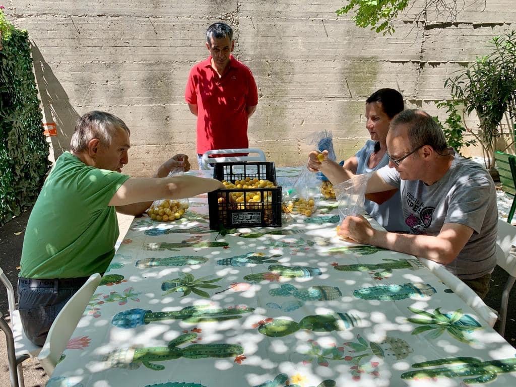 di C.E.S.T. -C.E.S.T.