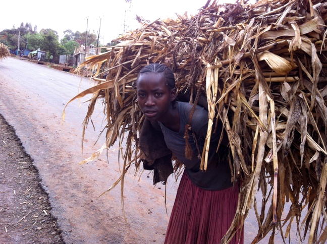 Ubuntu - Sviluppo sociale ed economico-Terre nel Cuore