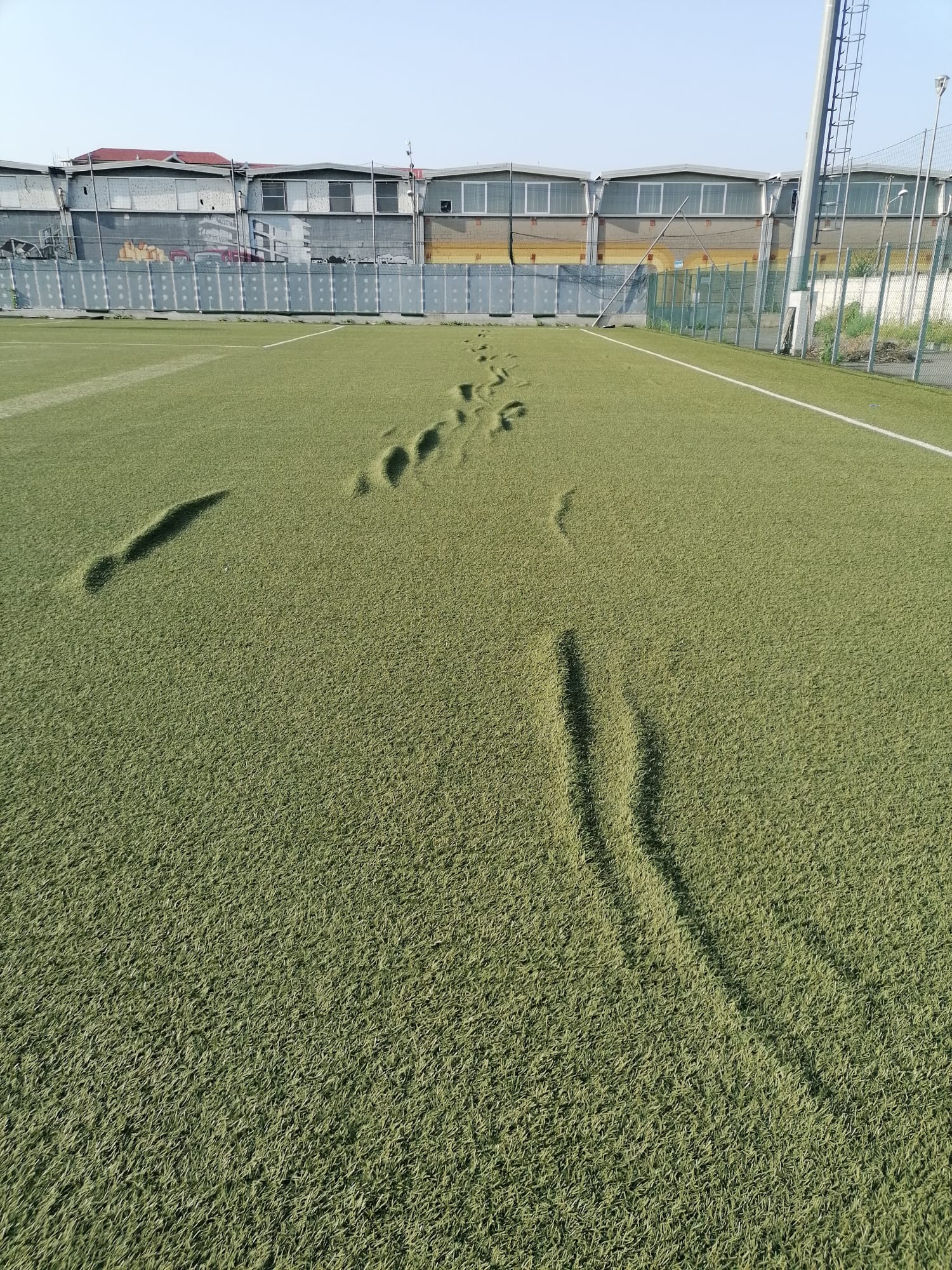 Riportiamo il calcio in Borgo Vittoria di ASD ASD Cit-turin Riportiamo il calcio in Borgo Vittoria-ASD ASD Cit-turin