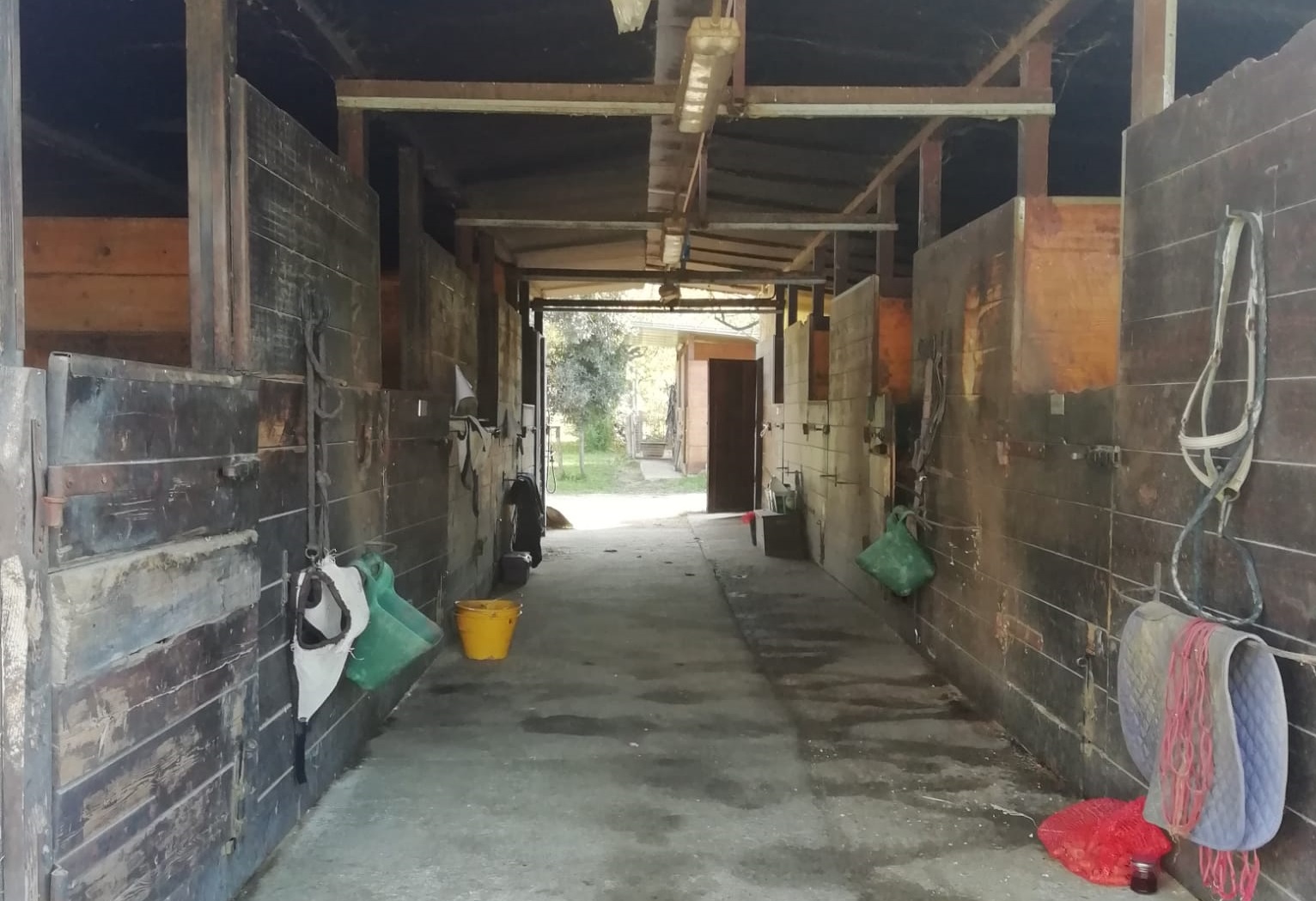 A cavallo di un sogno di SportABILI Alba A cavallo di un sogno-SportABILI Alba