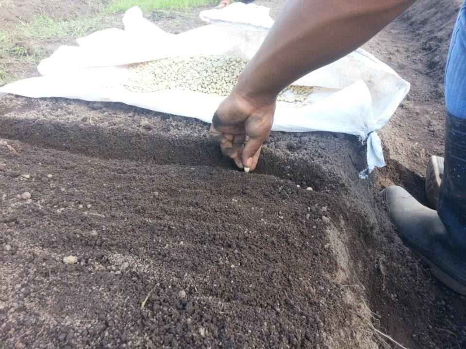Camminiamo la stessa terra di Educatori senza Frontiere Camminiamo la stessa terra-Educatori senza Frontiere
