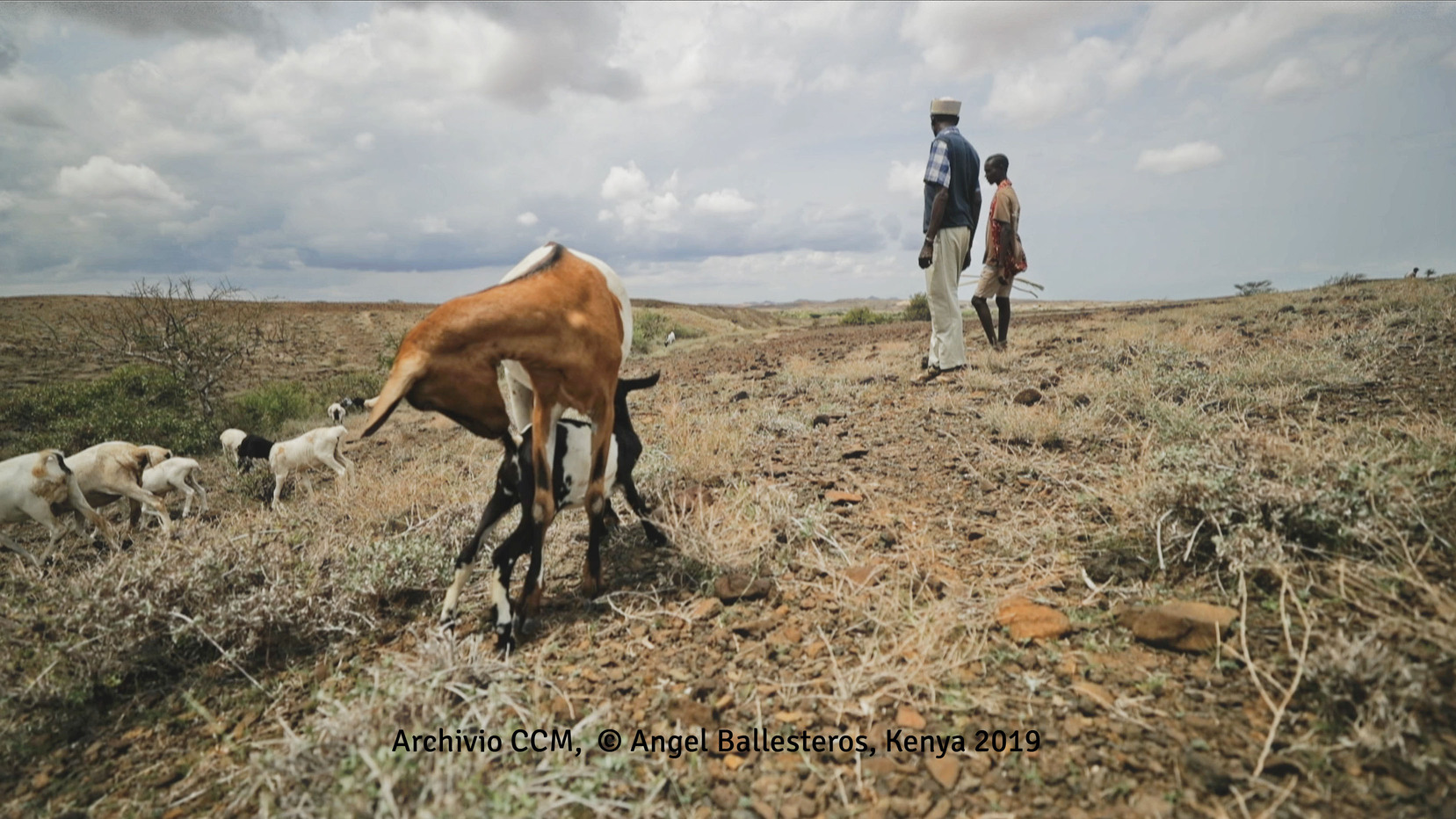 Due gobbe, due gambe! -Comitato Collaborazione Medica - CCM