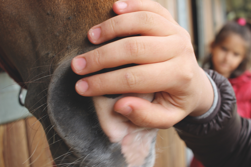 Rimettiamoci in sella-Cascina Biblioteca