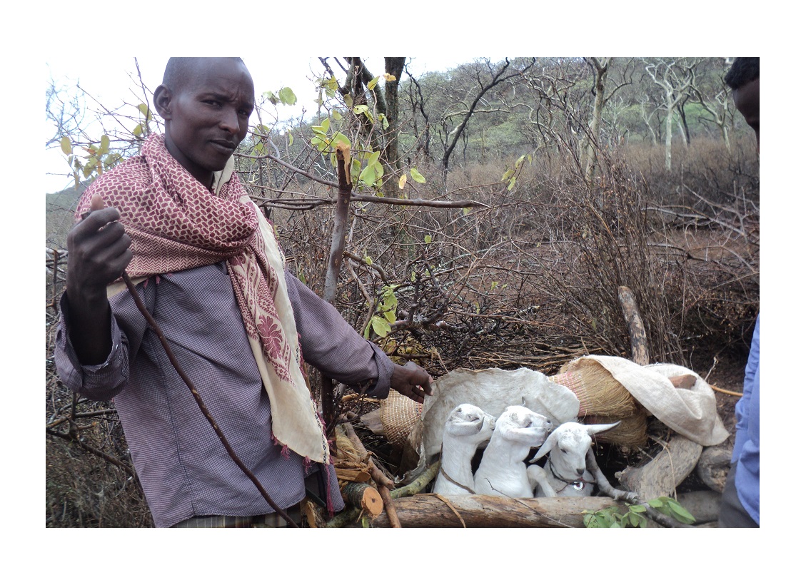 Una corsa per la salute in Etiopia -Comitato Collaborazione Medica