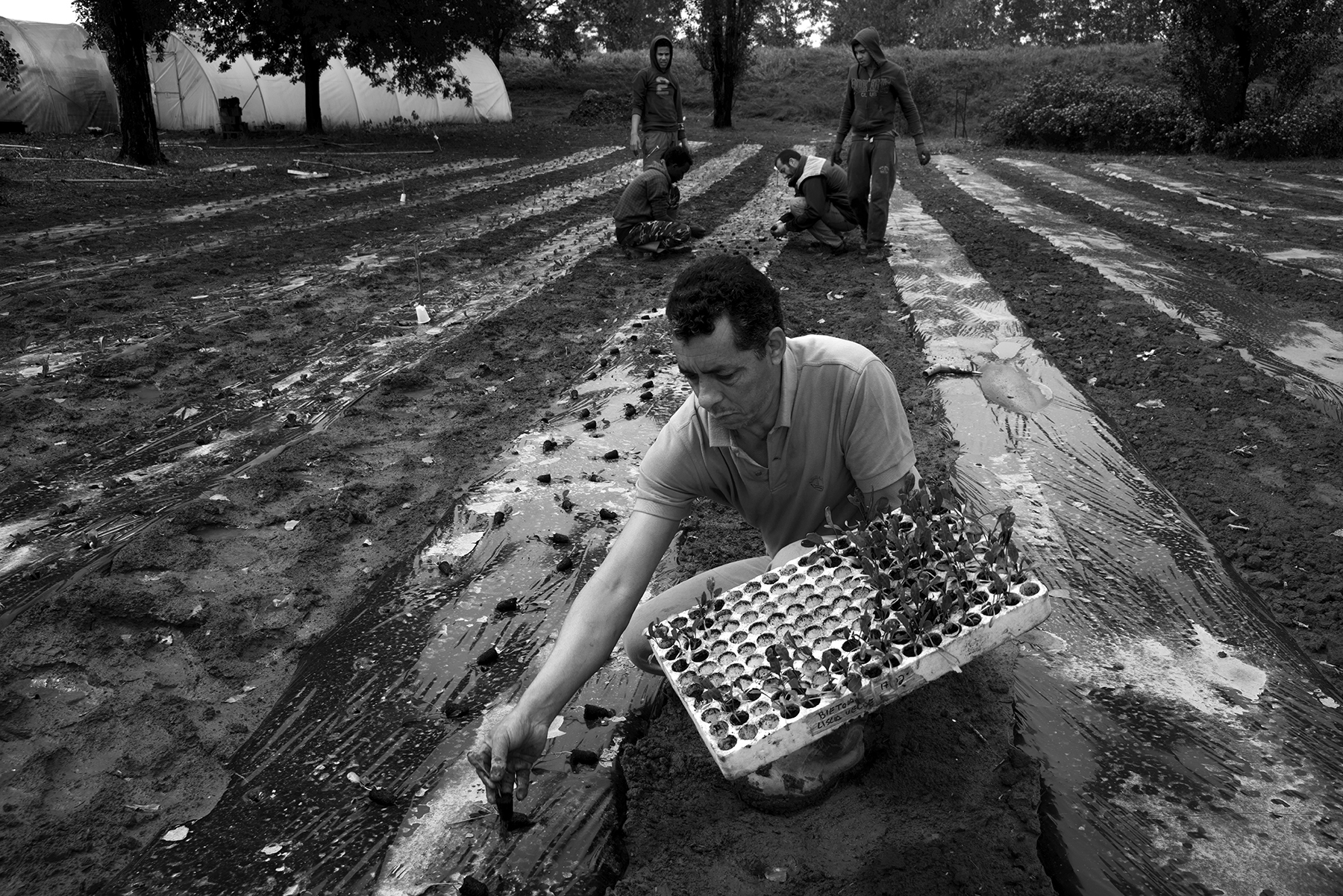 Dalla terra alla dispensa-Cooperativa Madre Terra