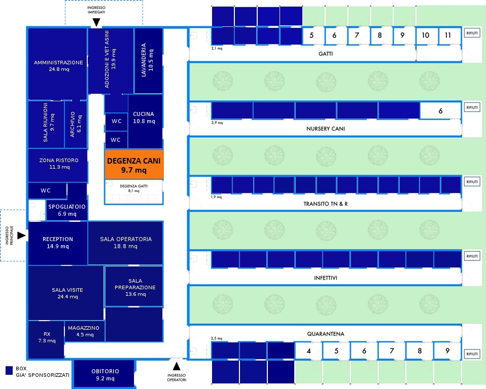 Una clinica per i randagi - A vet clinic for strays-Save the Dogs and Other Animals 