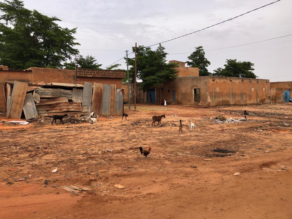 Un'impresa possibile con Diste di CISV Un'impresa possibile con Diste-CISV