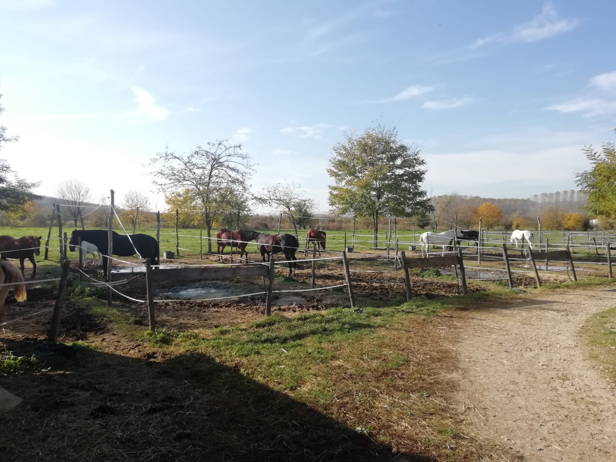 A cavallo di un sogno di SportABILI Alba A cavallo di un sogno-SportABILI Alba