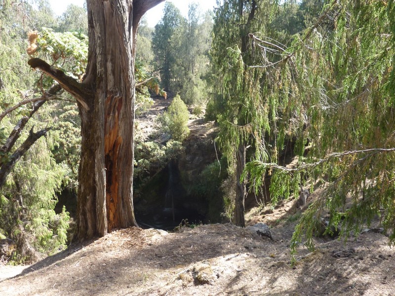 Vado a scuola anche io!-SFC Italia Onlus