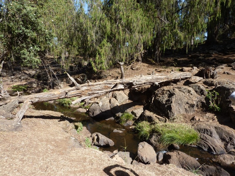Vado a scuola anche io!-SFC Italia Onlus