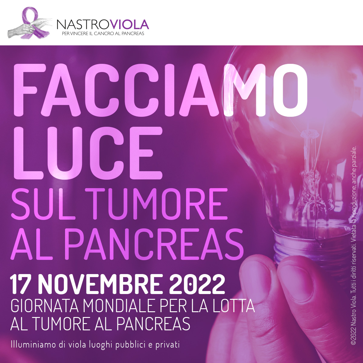 Facciamo Luce sul Tumore al Pancreas 202 di Associazione Nastro Viola Facciamo Luce sul Tumore al Pancreas 202-Associazione Nastro Viola
