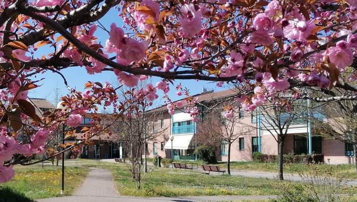 UN ABBRACCIO AL SACRA FAMIGLIA-SACRA FAMIGLIA 