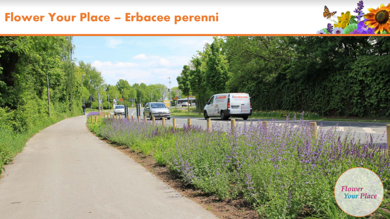 Fai sbocciare il Natale!-Parco Nord