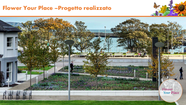 Fai sbocciare il Natale!-Parco Nord