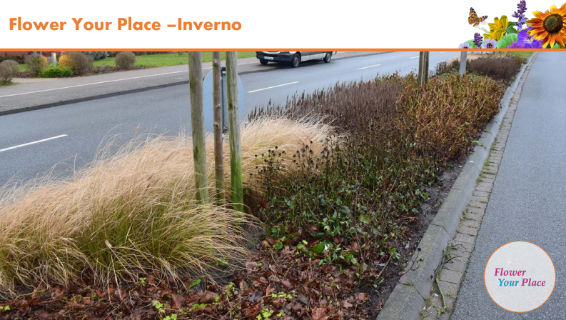 Fai sbocciare il Natale!-Parco Nord