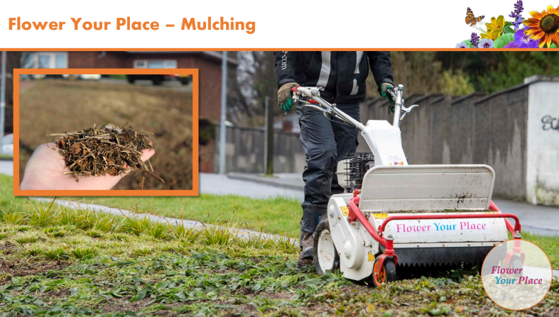 Fai sbocciare il Natale!-Parco Nord