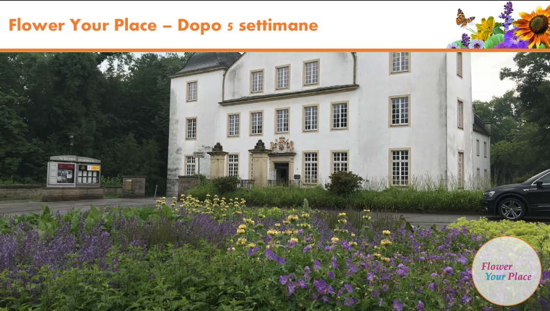 Fai sbocciare il Natale!-Parco Nord