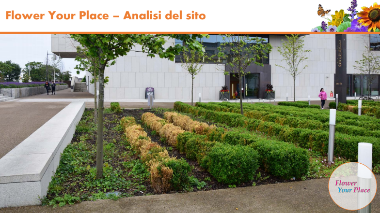 Fai sbocciare il Natale!-Parco Nord