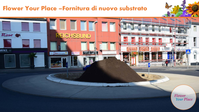 Fai sbocciare il Natale!-Parco Nord