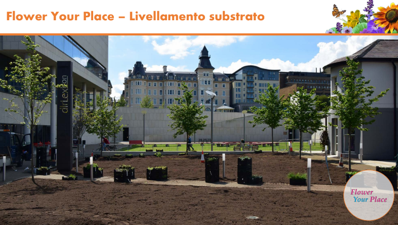 Fai sbocciare il Natale!-Parco Nord