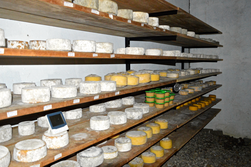 Run 4 "Perù: Latte fonte di vita" di Iscos Lombardia Onlus Run 4 "Perù: Latte fonte di vita"-Iscos Lombardia Onlus