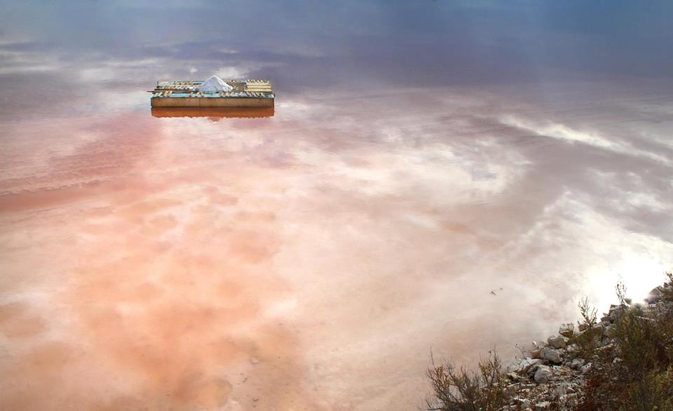 Apulia Land Art Festival - Il Catalogo di UnconventionArt Apulia Land Art Festival - Il Catalogo-UnconventionArt