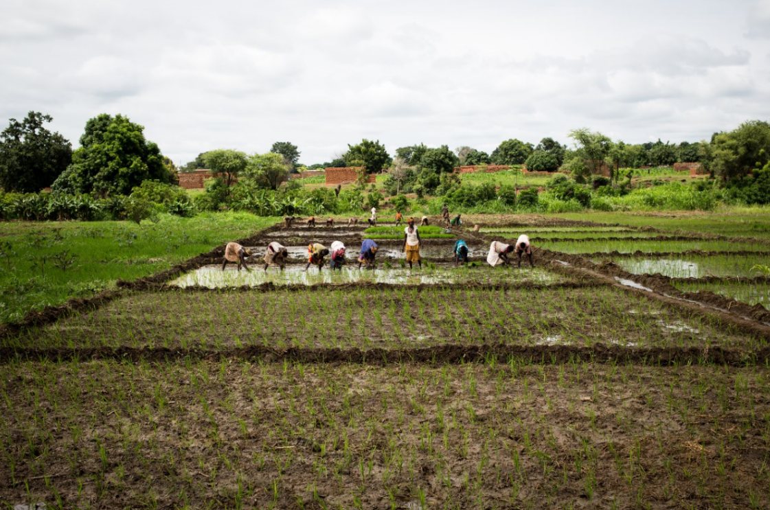 CON CISV, AUMENTA IL VOLUME DEL CUORE!-CISV