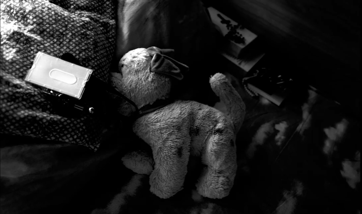 Una Stella Polare per la libertà-Progetto Stella Polare