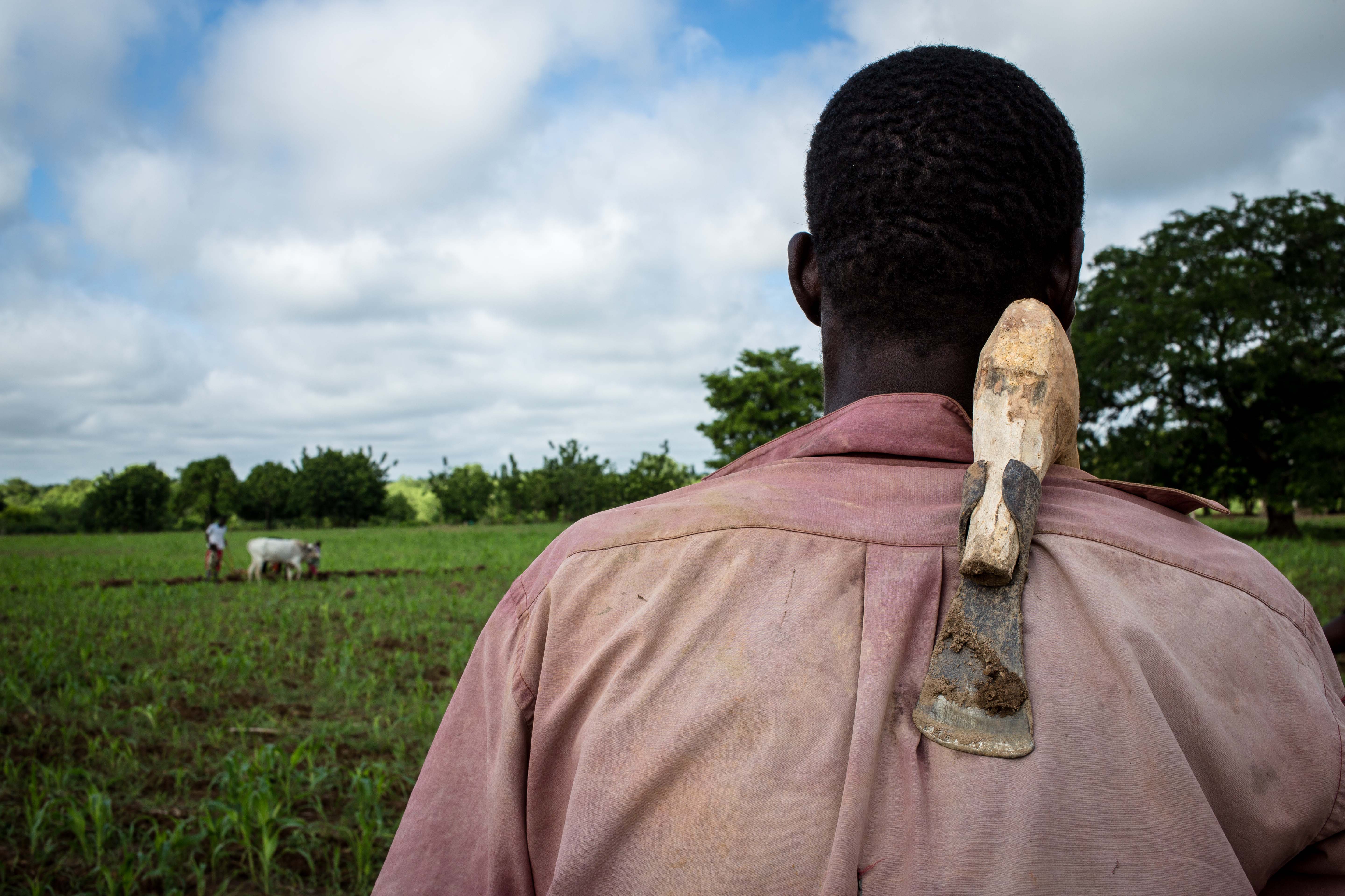 SOTTO SFORZO AUMENTA IL VOLUME DEL CUORE-CISV