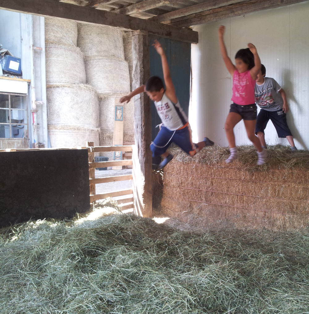 Caro Babbo Natale per Natale vorrei..... di La Grande Casa Caro Babbo Natale per Natale vorrei.....-La Grande Casa