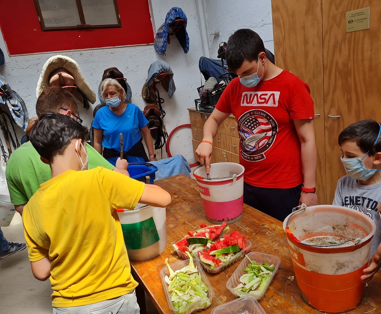 ContinuaR.E.-L’ippoterapia non si fermi! di AGRES ContinuaR.E.-L’ippoterapia non si fermi!-AGRES