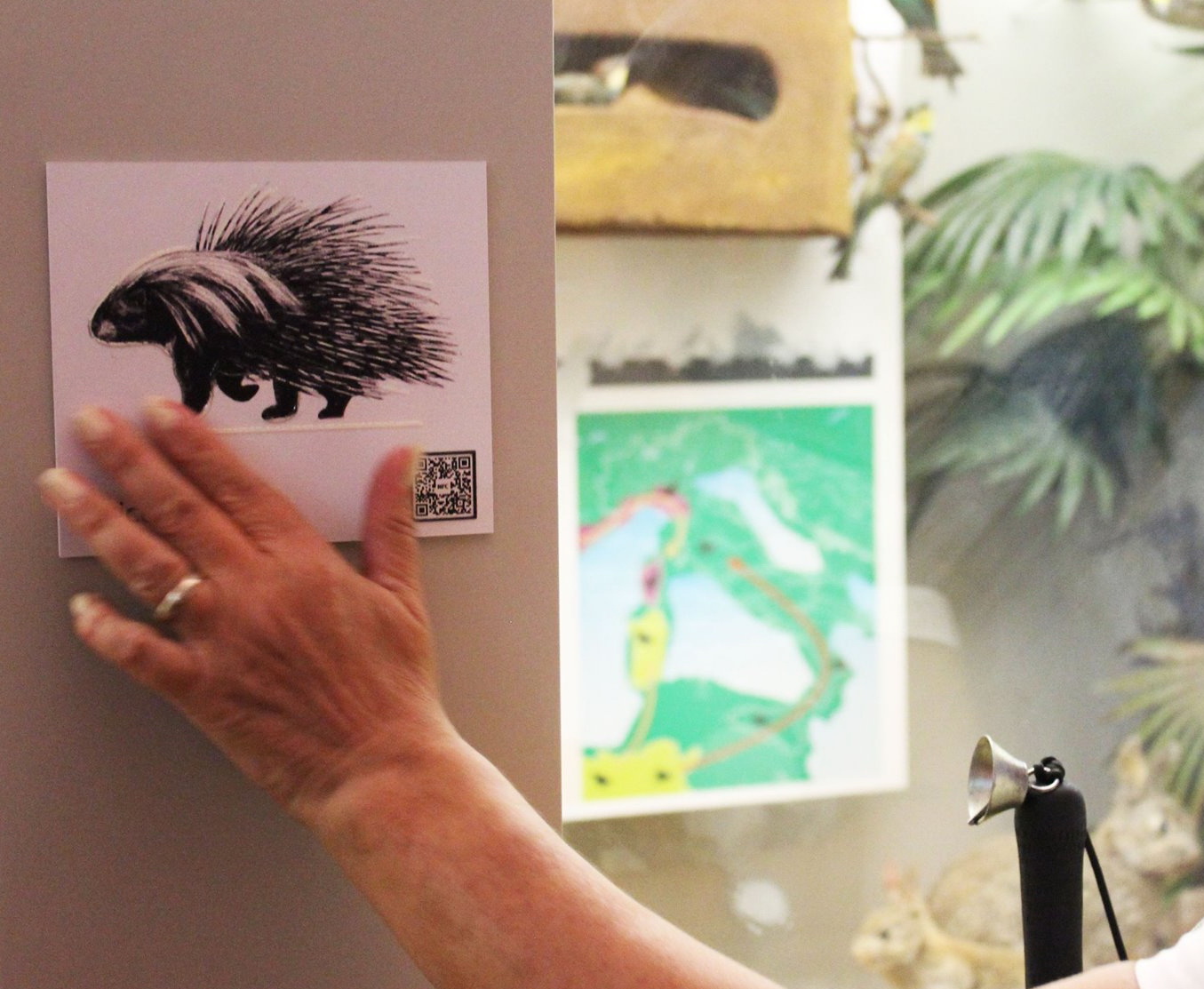 PERCORSO MULTISENSORIALE AL MUSEO di RI-NASCITA PERCORSO MULTISENSORIALE AL MUSEO-RI-NASCITA