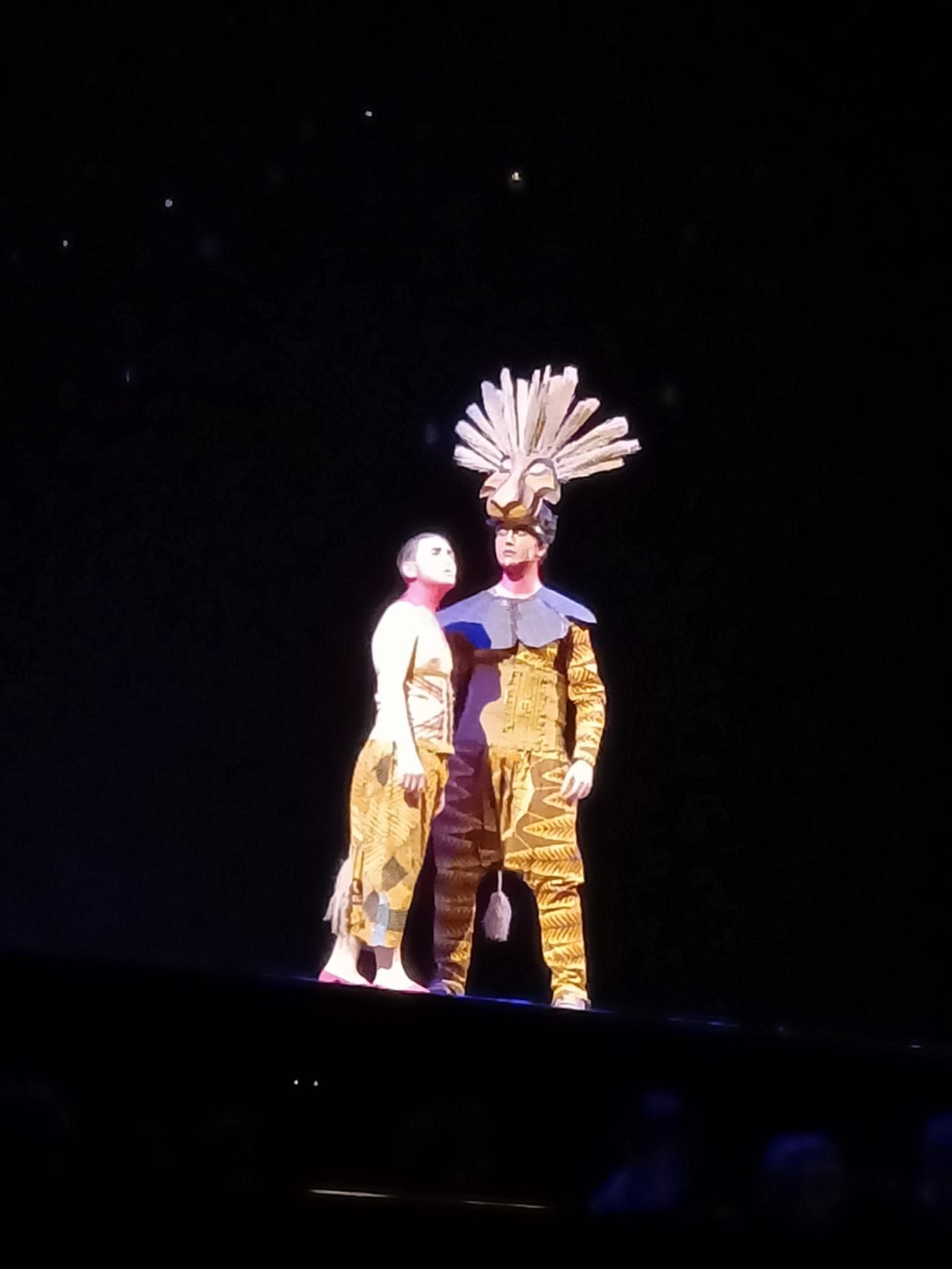 "Il re Leone" da Reggio Calabria a Carpi di Scuola La Carovana "Il re Leone" da Reggio Calabria a Carpi-Scuola La Carovana