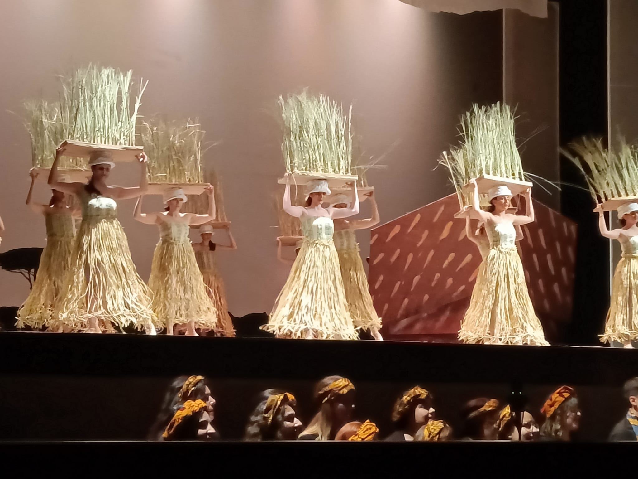 "Il re Leone" da Reggio Calabria a Carpi di Scuola La Carovana "Il re Leone" da Reggio Calabria a Carpi-Scuola La Carovana