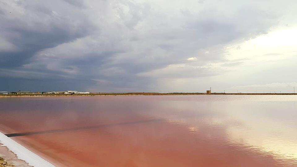 Apulia Land Art Festival - Il Catalogo di UnconventionArt Apulia Land Art Festival - Il Catalogo-UnconventionArt