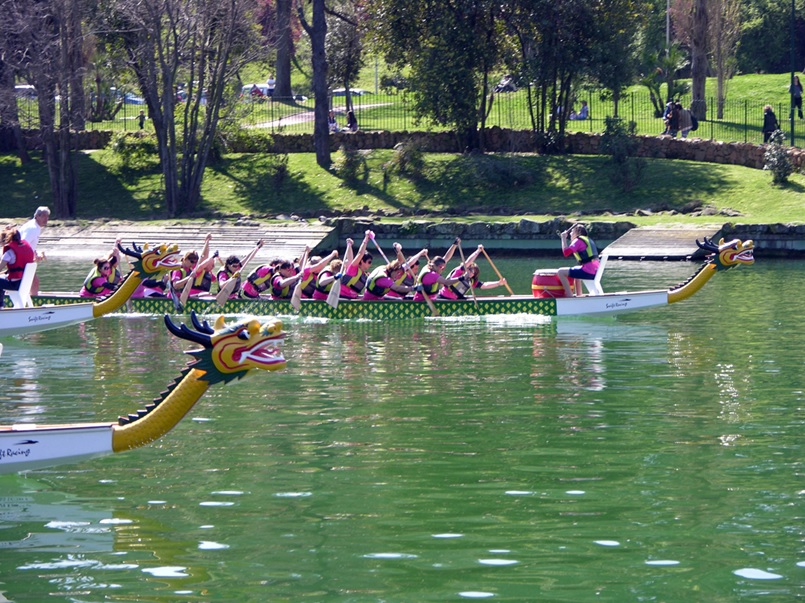 Un container tutto rosa di Pagaie Rosa Un container tutto rosa-Pagaie Rosa