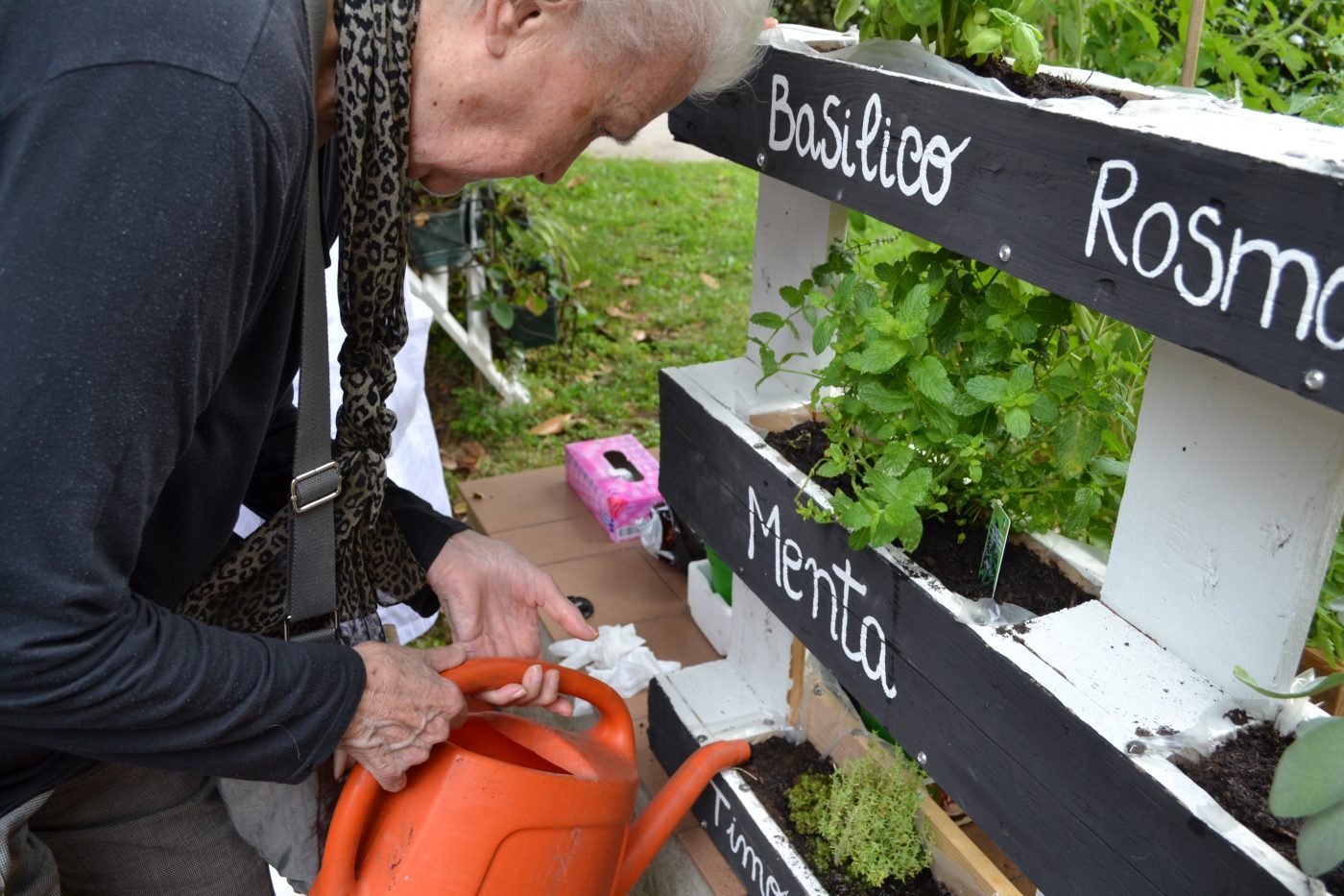 Il Cortile dell'esperienza-Amici del Trivulzio Onlus