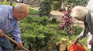 Il Cortile dell'esperienza-Amici del Trivulzio Onlus