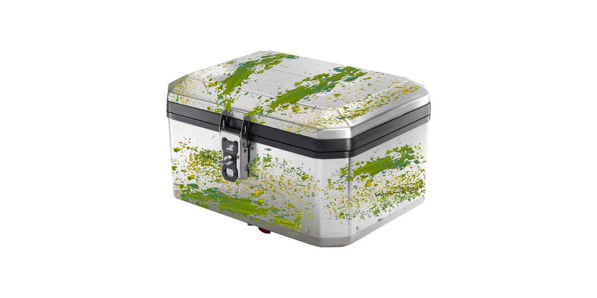 THE FREEDOM CASES-Cavalieri delle Nubi