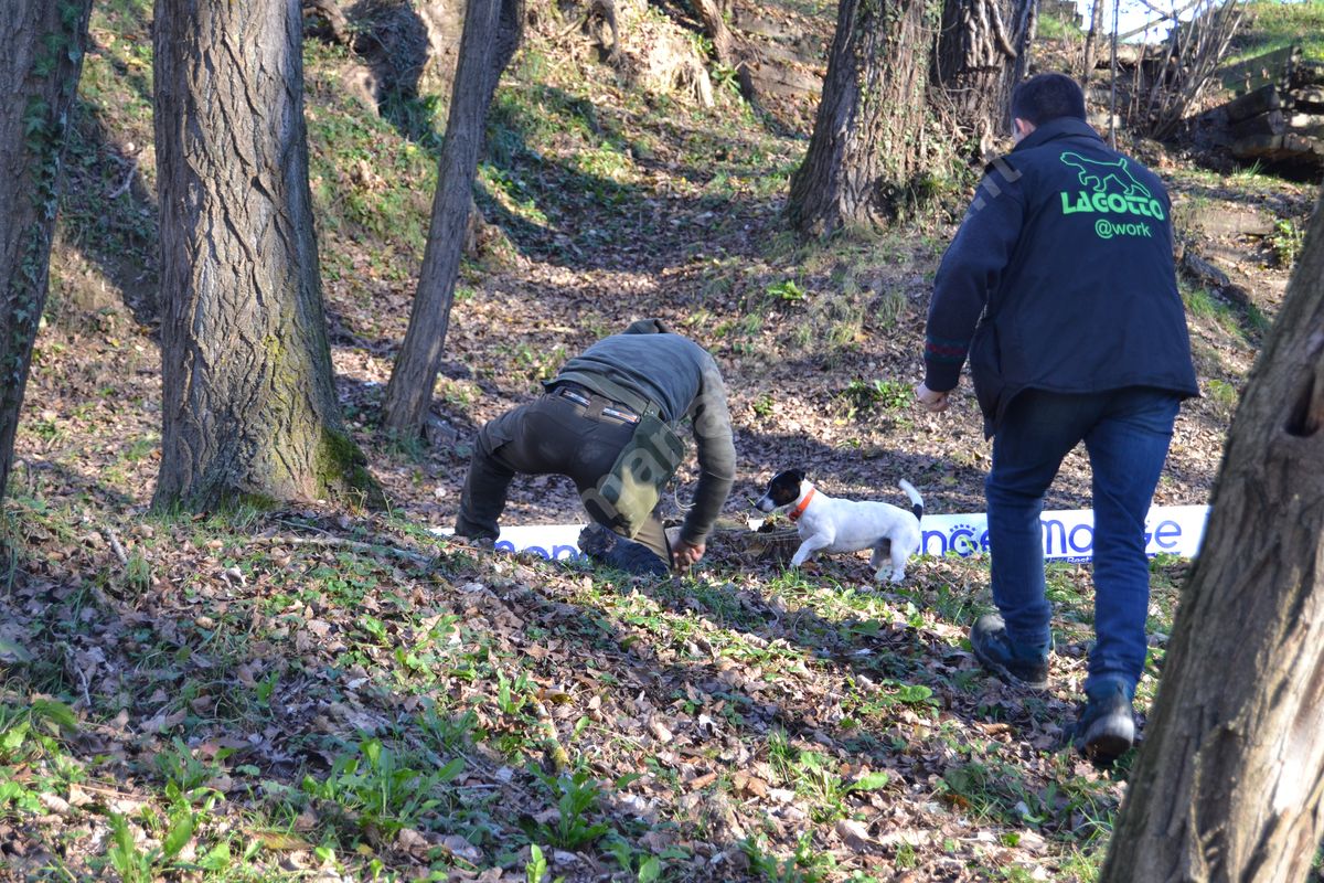 GARE CINOFILE RICERCA TARTUFI di Tartufai Monferrato GARE CINOFILE RICERCA TARTUFI-Tartufai Monferrato