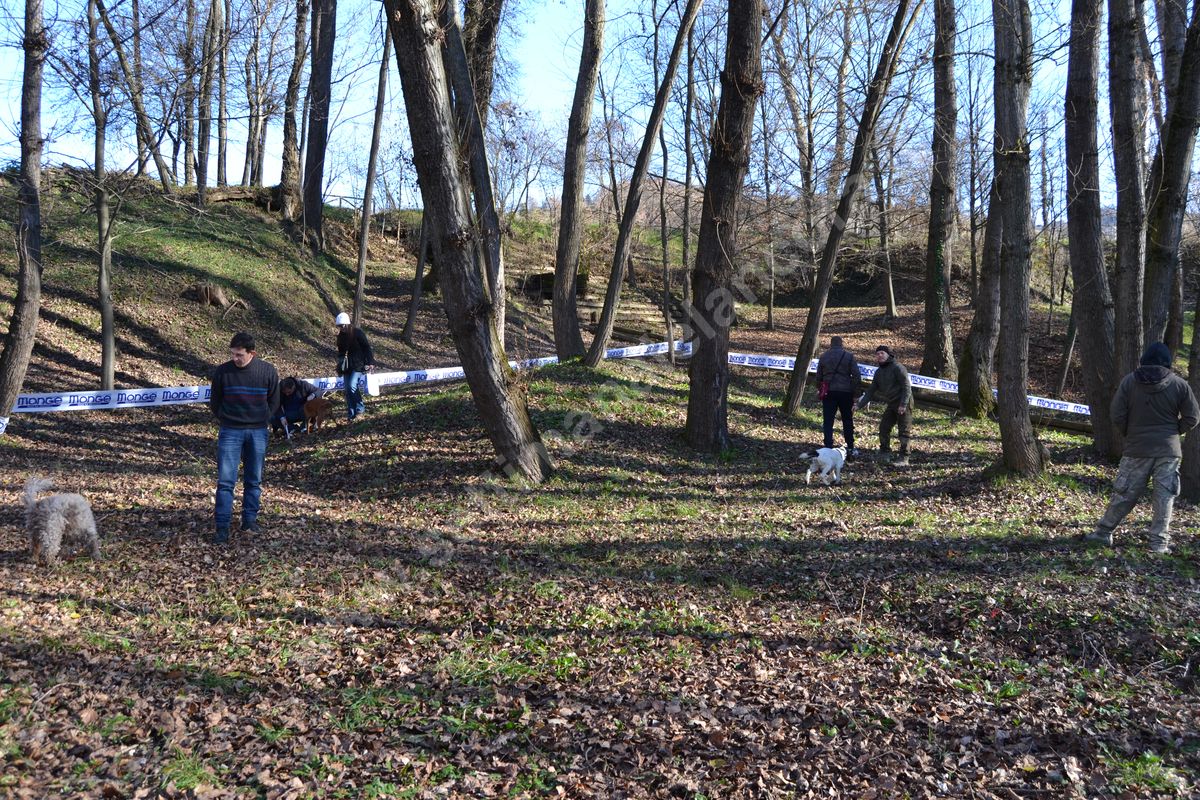 GARE CINOFILE RICERCA TARTUFI di Tartufai Monferrato GARE CINOFILE RICERCA TARTUFI-Tartufai Monferrato