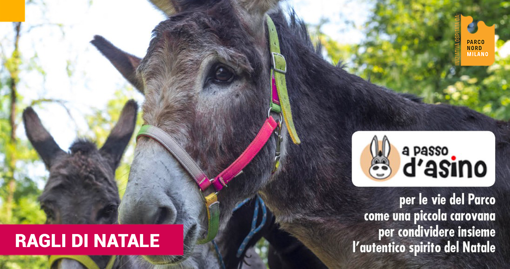 Ragli di Natale al Parco di Parco Nord Milano Ragli di Natale al Parco-Parco Nord Milano