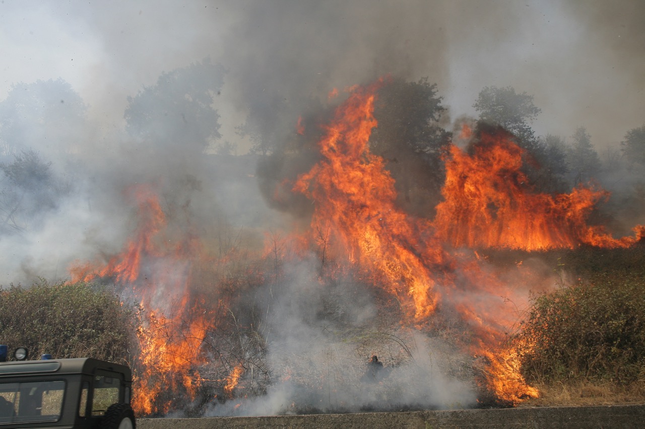 "Dona e pianta un albero" di ARCI CACCIA CALABRIA "Dona e pianta un albero"-ARCI CACCIA CALABRIA